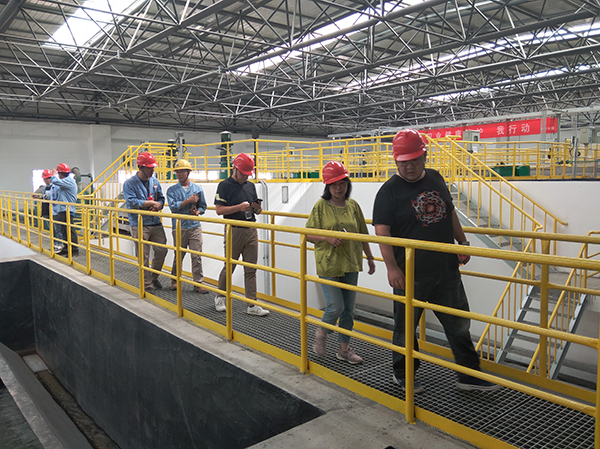 1594421199700399.jpeg 1711.jpg