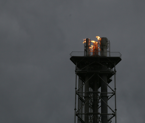 1604156774531222.jpeg IMG_4633.jpg