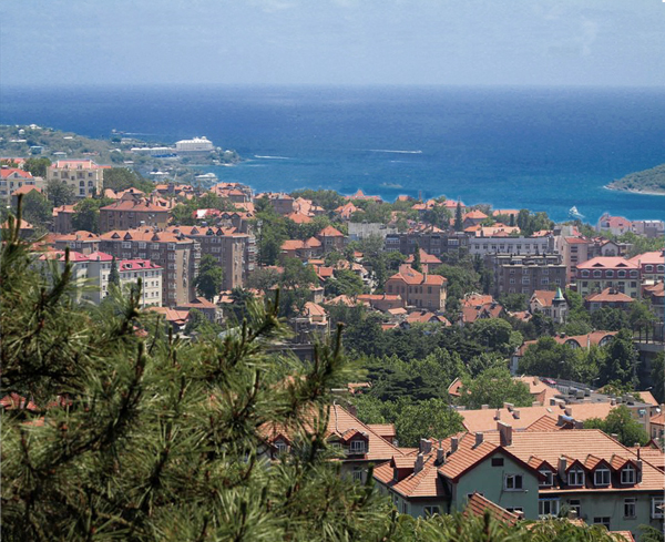 1608199682149278.jpeg 008 haibinchengshi-30778780_1.jpg