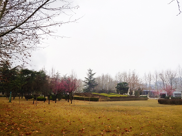 1614222344656161.jpeg 017d5336416bcd425154987899f64e0.jpg