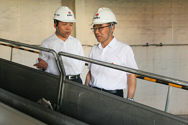 1626259305684545.jpeg IMG_0160.JPG