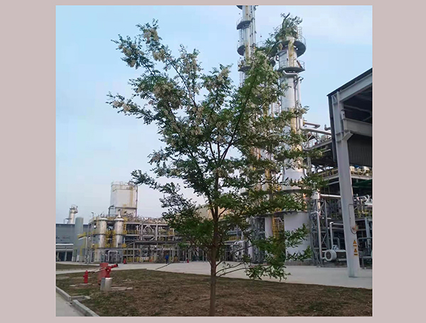 1639392358168774.jpeg 65968fd92843a58da7d1aabc374551d.jpg