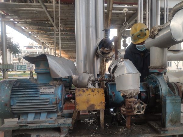 1642665081795117.jpeg 22.jpg