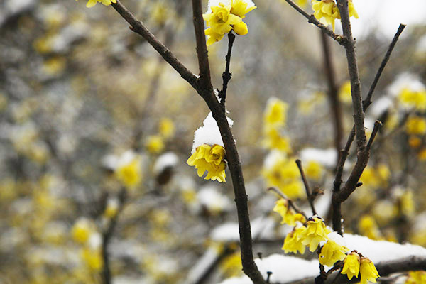 1642732724498463.jpeg IMG_1118.JPG