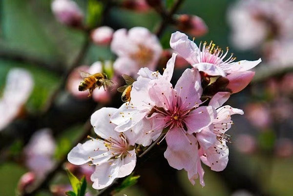 1648463750594385.jpeg 372509060861162494.jpg