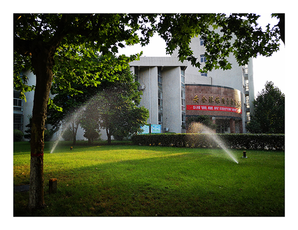 1654150001277657.jpeg IMG_20220601_085225.jpg