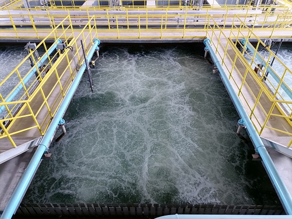 1662162192619878.jpeg 圖1.jpg