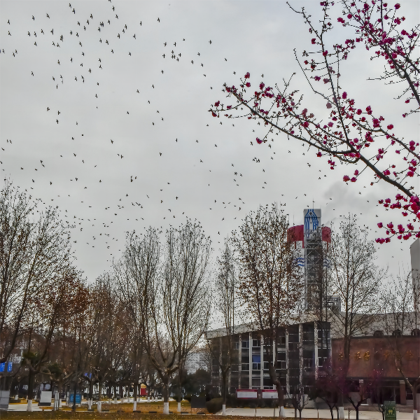 1665283475736854.png 一等獎 生態化工1 徐暉 13892559729(1).png