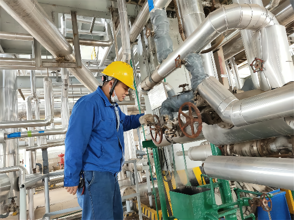 1665366360851345.png 2ece7977c8e412df26b2948179cdbbf(1).png