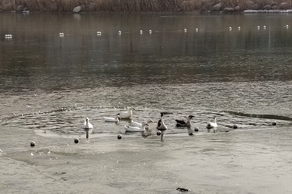 1676249487289972.jpeg b34b9ce3c7d602b0abc354cd1464e34(副圖).jpg