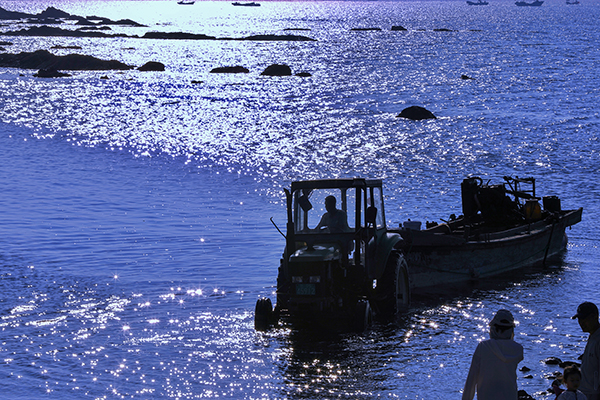 1695167786456739.jpeg 淡云攝影作品《海》 (4).jpg