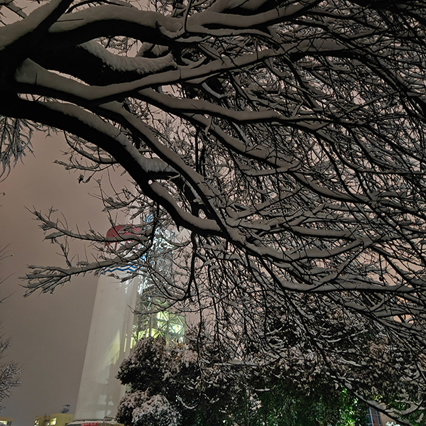 1705385851562847.jpeg 微信圖片_20240116084902 600.jpg