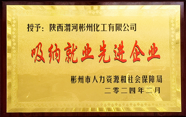 1708496558491543.jpeg 彬州公司榮獲”吸納就業(yè)先進企業(yè)“稱號 600.jpg