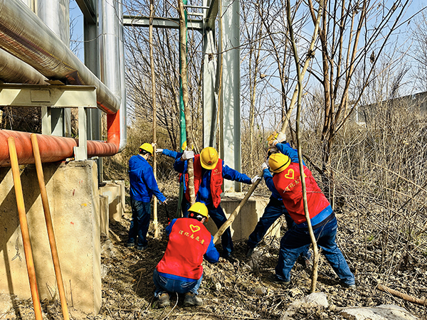 1711002974785411.jpeg 3月20日下午,物料車間黨支部開展了“清除雜草保安全 志愿服務顯擔當”主題活動,黨員及青年志愿者清理影響管線安全的枯樹枝 600.jpg