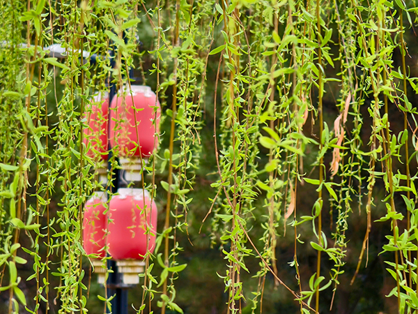 1711015222764099.jpeg 4 600.jpg