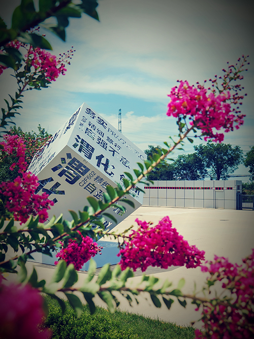 1724677818127053.jpeg retouch_2024080914454528 500.jpg