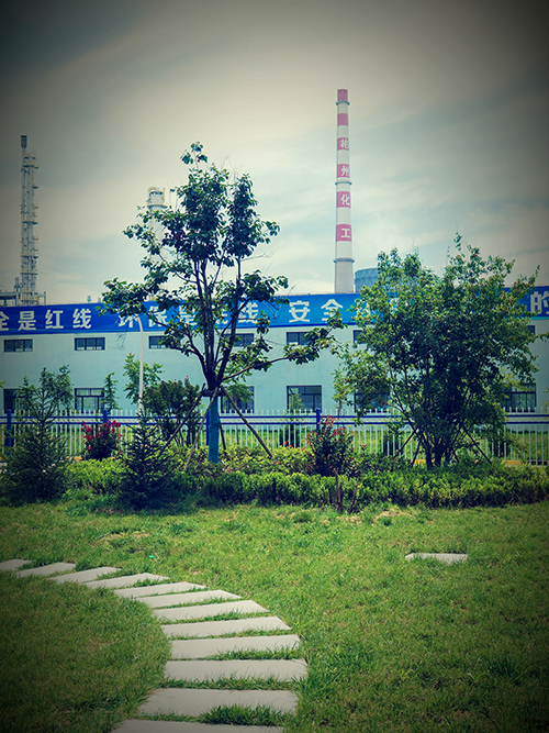 1724677843514912.jpeg retouch_2024080914485538 500.jpg