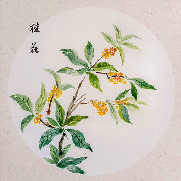 1730099122999413.jpeg 093aadd97c96f3267cd812a613aef2f 600.jpg