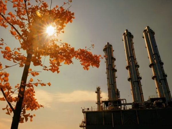 1732783933862518.jpeg 微信圖片_20241128163321.jpg