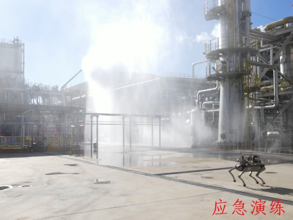 1733390144656575.jpeg 咸陽市2024年應急演練1.jpg