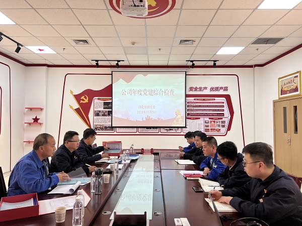 1735283089506856.jpeg 2024年11月5日,支部參加公司年度黨建檢查.jpg