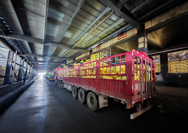 1739150552392252.jpeg 2月6日尿素裝車現場2.jpg