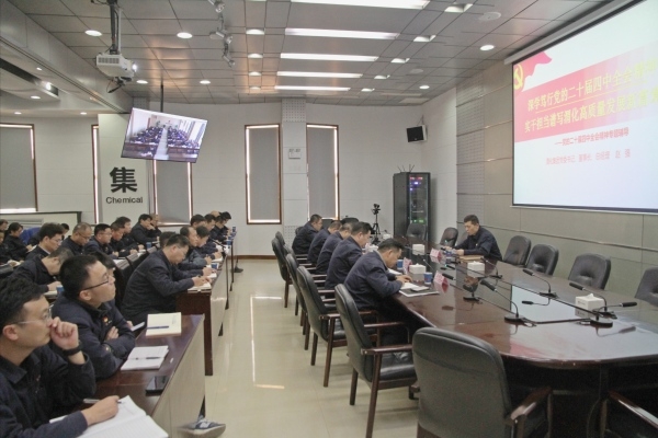 集團公司黨委書記、董事長、總經理趙強專題宣講黨的二十屆四中全會精神