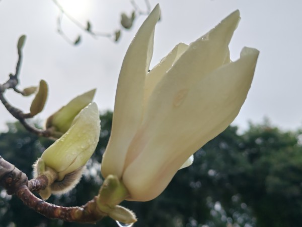 181742286237312451.jpg d3813e24c445ae010beb0bdbc0fcfcf.jpg