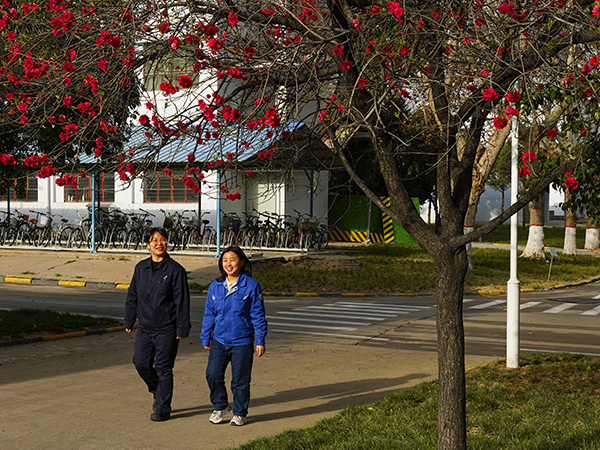 071744022137279831.jpg 5 副圖.jpg