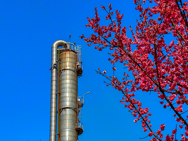 071744022148169470.jpg 10 副圖.jpg