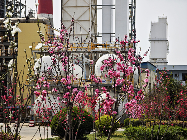 171744848536119110.jpg 配圖2 (3) 600.jpg