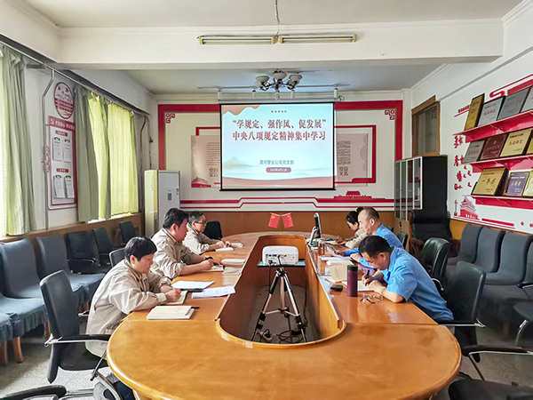 231745388635562972.jpg 4月11日,渭河塑業公司全體黨員集中學習中央八項規定精神.jpg