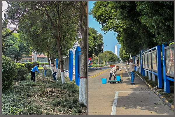 251745553570359987.jpg 4.25愛國衛生運動月稿件配圖2 600.jpg