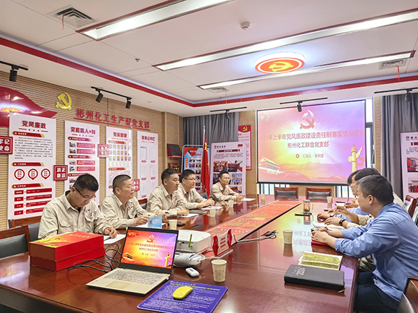 031751545625147350.jpg 2025年7月3日公司紀委對彬州聯合黨支部開展上半年黨風廉政建設責任制落實情況監督檢查.jpg