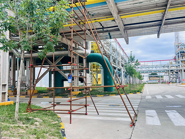 211755778102545588.jpg 現場腳手架.jpg