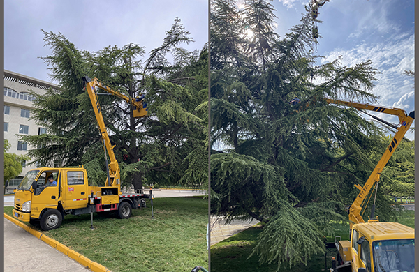 111757549834211792.jpg 1968d0274fb588dbbaf4c163f7830882 副圖 600.jpg