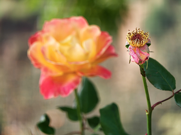 281761659819497126.jpg 1687ec671051ce237887b12cb46e9737 600.jpg